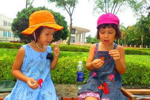 Chọi nhị phượng